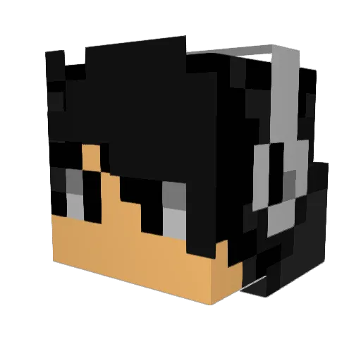 mr_wonton1 Minecraft avatar head, 3D render