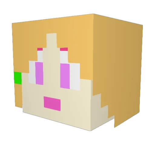 mrawesome4878 Minecraft avatar head, 3D render