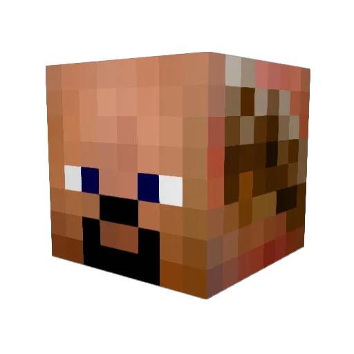 mrblockcrafter Minecraft avatar head, 3D render