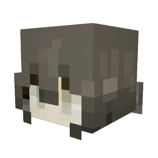 mrbro4000 Minecraft avatar head, 3D render