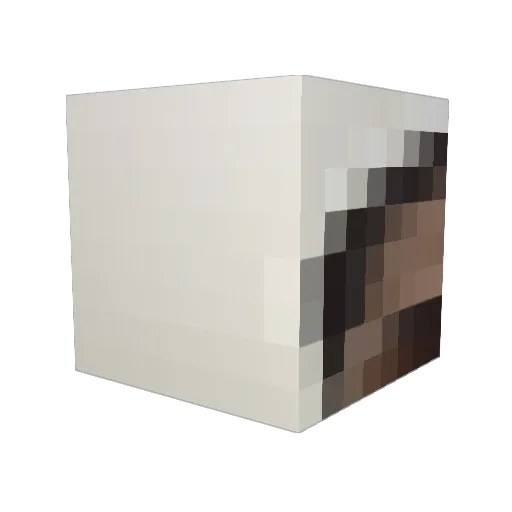 mrbubbles647 Minecraft avatar head, 3D render