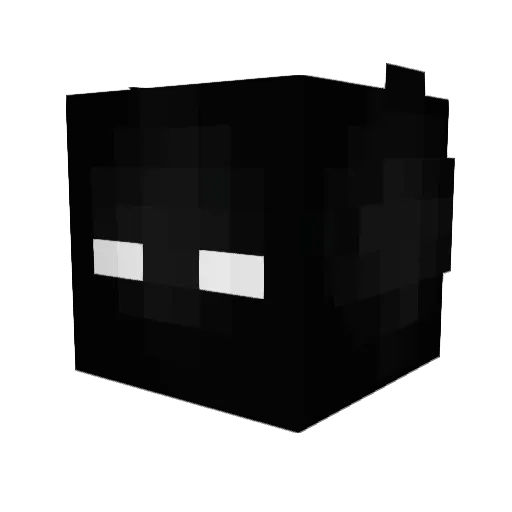 mrcatfart Minecraft avatar head, 3D render