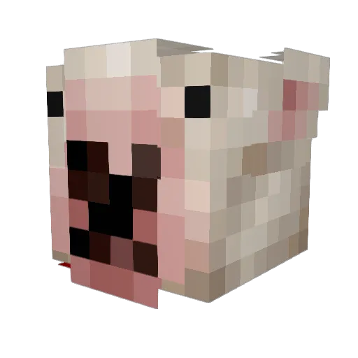 mrcharger1155 Minecraft avatar head, 3D render