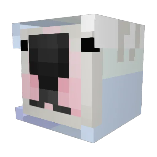 mrcleansnipe Minecraft avatar head, 3D render