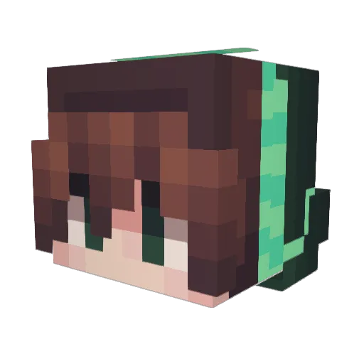mrcool1111111 Minecraft avatar head, 3D render