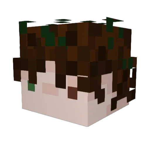 mrfirefox159 Minecraft avatar head, 3D render