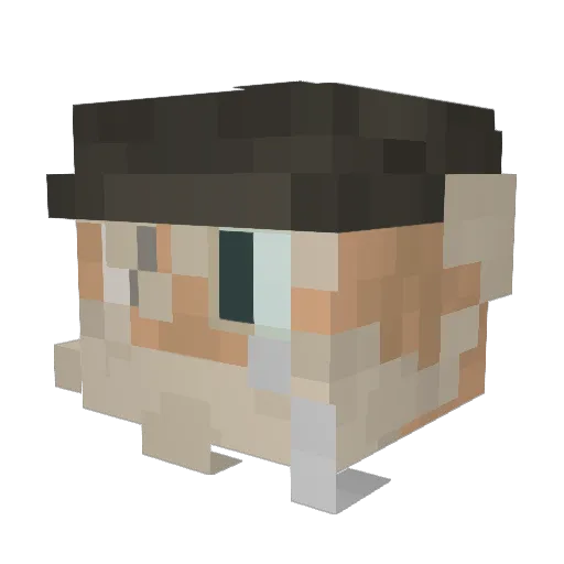 mrflippinaryan Minecraft avatar head, 3D render