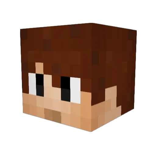 mrflopalot Minecraft avatar head, 3D render