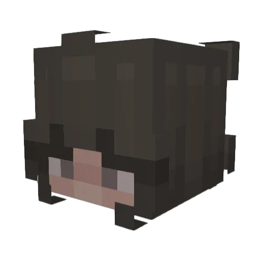 mrfncial Minecraft avatar head, 3D render