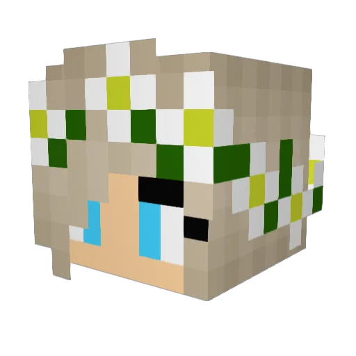 mrgane Minecraft avatar head, 3D render