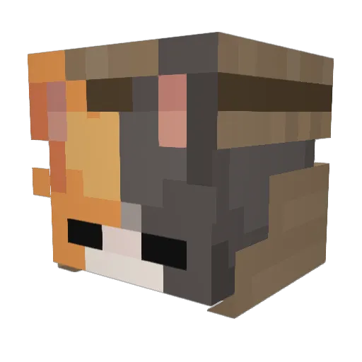 mrgatoleo Minecraft avatar head, 3D render
