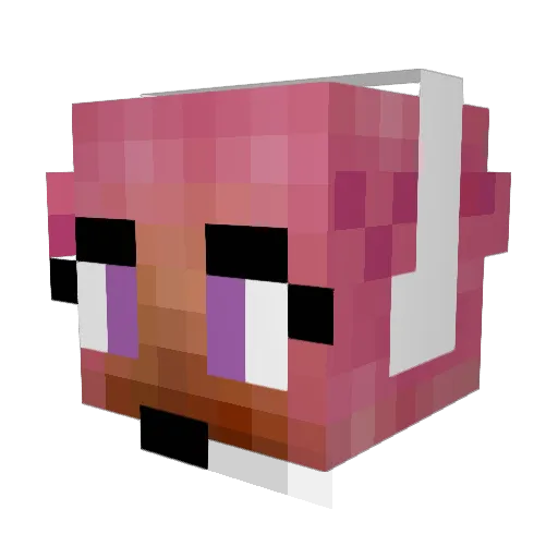 mrhamsterball Minecraft avatar head, 3D render