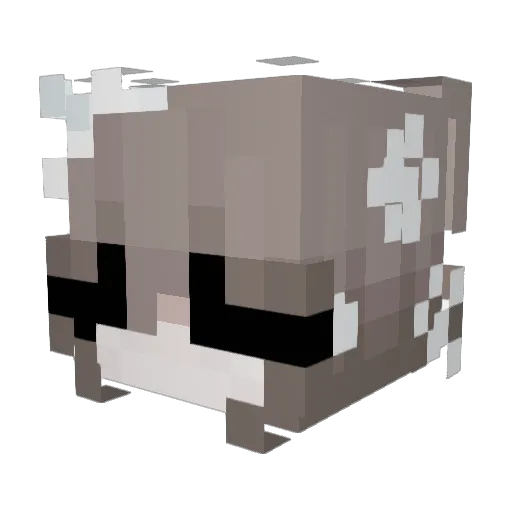 mrhzyjx Minecraft avatar head, 3D render