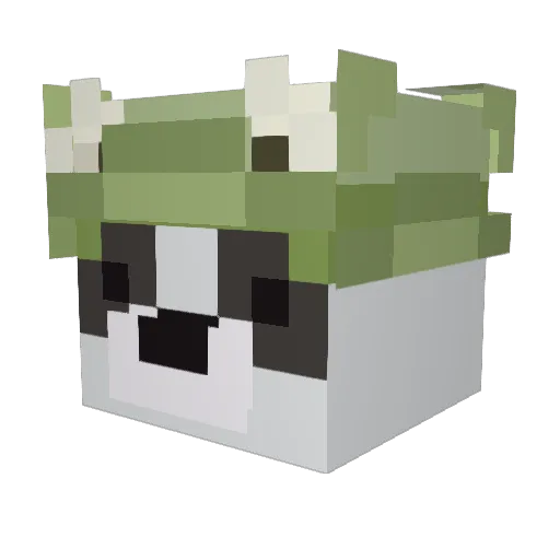 mrkautschgi Minecraft avatar head, 3D render