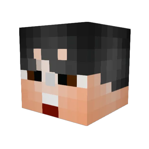 mrlegit5 Minecraft avatar head, 3D render