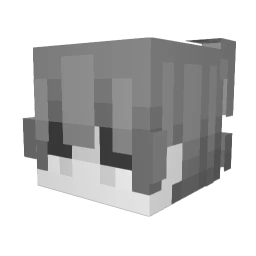 mrm6665 Minecraft avatar head, 3D render