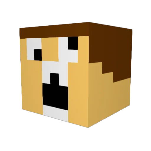 mrmagicians Minecraft avatar head, 3D render