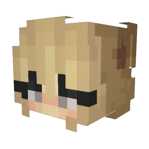 mrmayonnaise212 Minecraft avatar head, 3D render