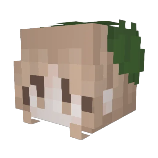 mrmlw Minecraft avatar head, 3D render