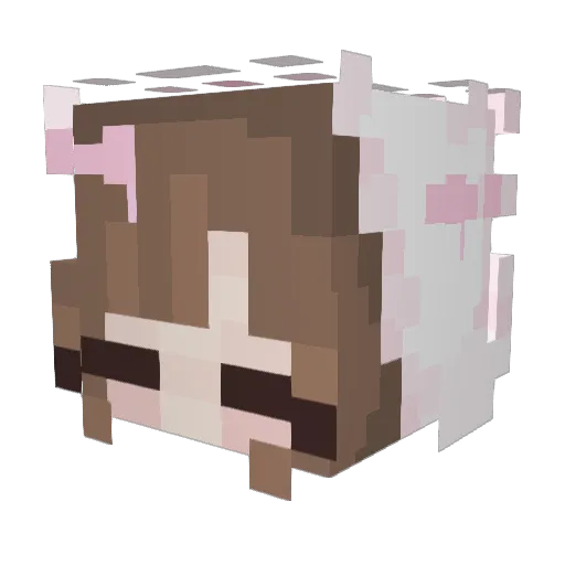 mrmodem7 Minecraft avatar head, 3D render