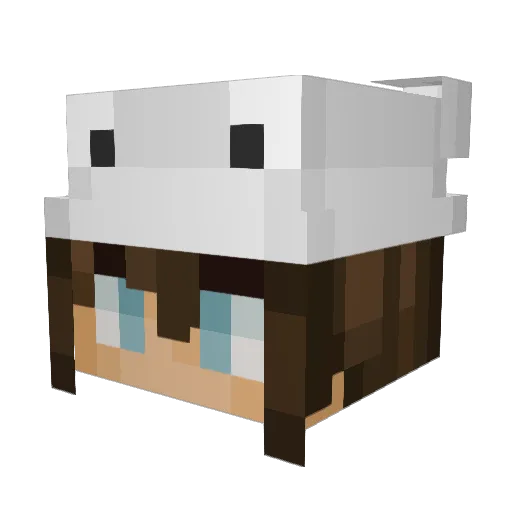mrmomm9 Minecraft avatar head, 3D render