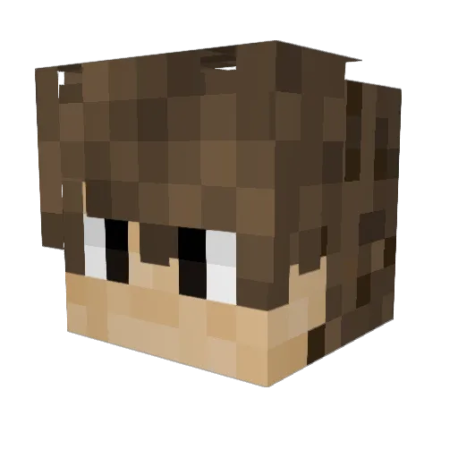 mrmoneydonuts Minecraft avatar head, 3D render