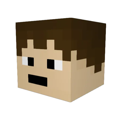 mrmoneyman1 Minecraft avatar head, 3D render