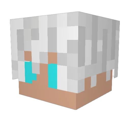 mrmr_eggo Minecraft avatar head, 3D render