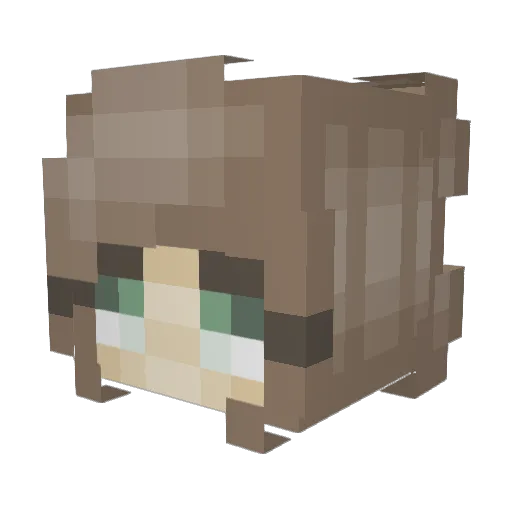 mrnakova Minecraft avatar head, 3D render