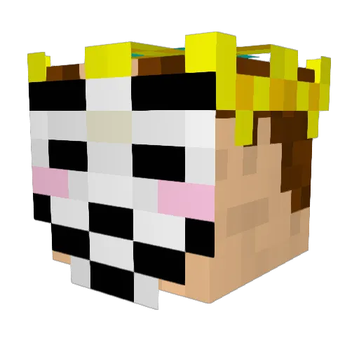mrniceguy606 Minecraft avatar head, 3D render