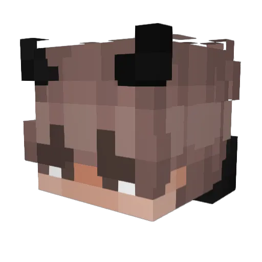 mrnoe007 Minecraft avatar head, 3D render