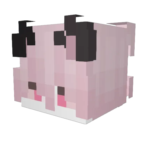 mrowOwO Minecraft avatar head, 3D render