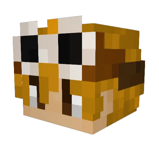 mrpatitoclo Minecraft avatar head, 3D render