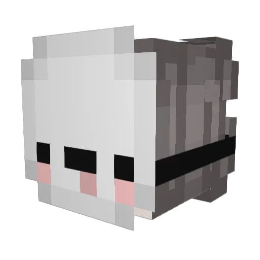 mrpatkins2008 Minecraft avatar head, 3D render