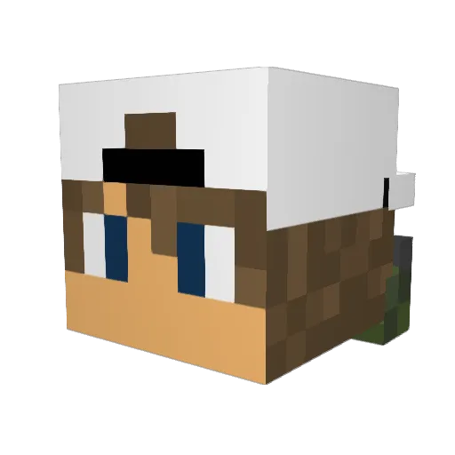 mrpiggyyy Minecraft avatar head, 3D render