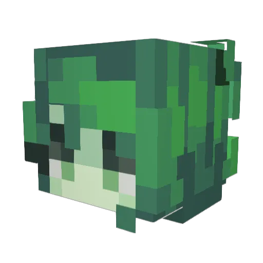 mrpink0000 Minecraft avatar head, 3D render