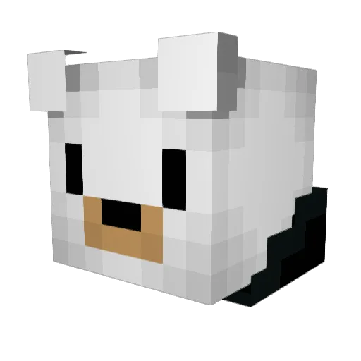mrpooolarbear Minecraft avatar head, 3D render