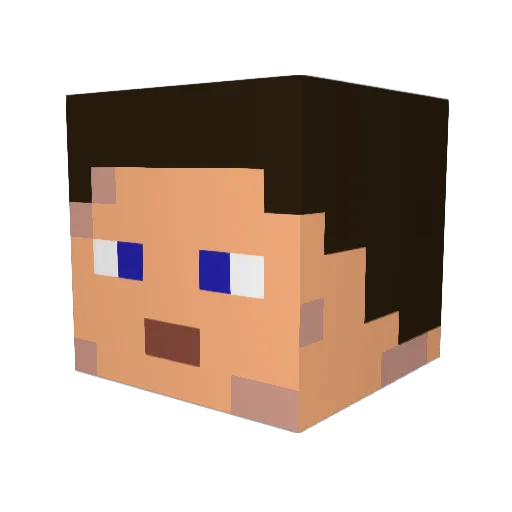 mrpoundNOOOB Minecraft avatar head, 3D render