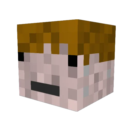 mrschiss Minecraft avatar head, 3D render