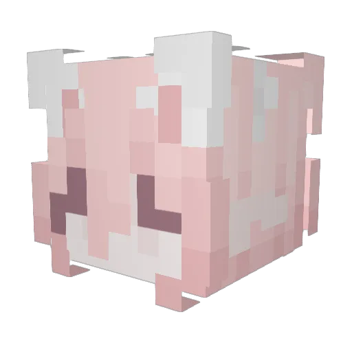 mrscoffeebun Minecraft avatar head, 3D render