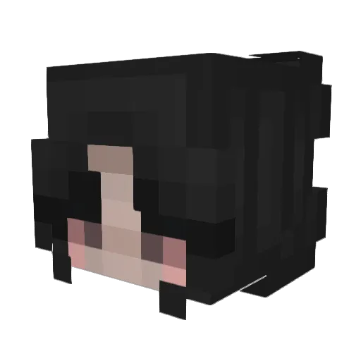 mrscreeper4 Minecraft avatar head, 3D render