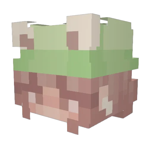 mrsfroggy Minecraft avatar head, 3D render