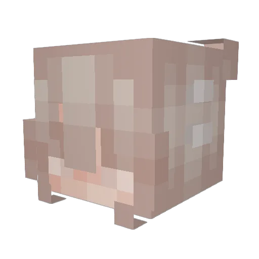 mrsgoodpumpum Minecraft avatar head, 3D render