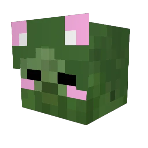mrshadow007 Minecraft avatar head, 3D render
