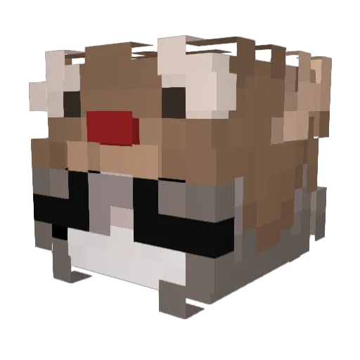 mrshamcajumpy Minecraft avatar head, 3D render