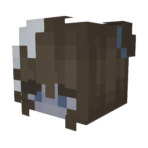 mrsquackers Minecraft avatar head, 3D render