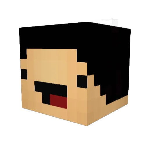mrstealurblocks Minecraft avatar head, 3D render