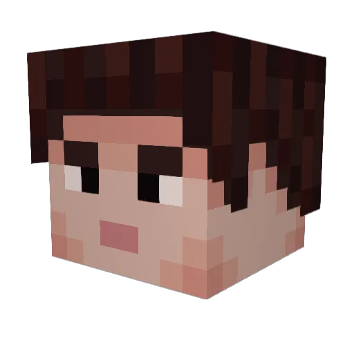 mrstinkface Minecraft avatar head, 3D render