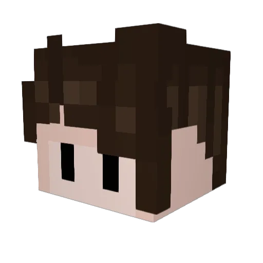 mrtank2010 Minecraft avatar head, 3D render
