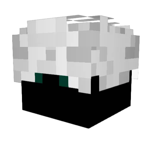 mrtucan_ Minecraft avatar head, 3D render